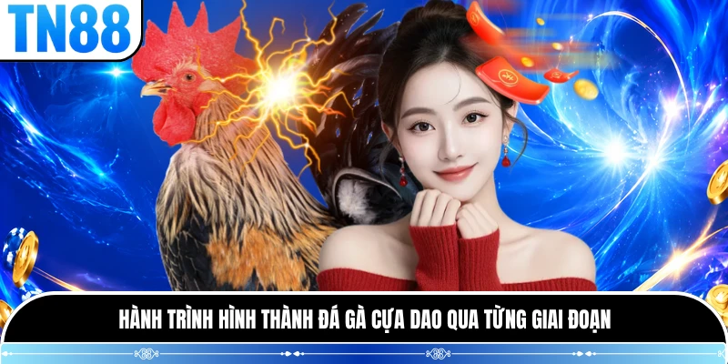 Hành trình hình thành đá gà cựa dao qua từng giai đoạn