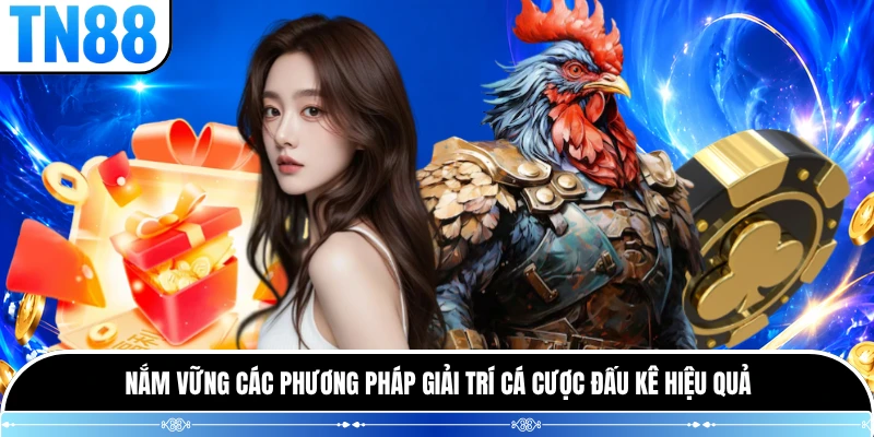 Nắm vững các phương pháp giải trí cá cược đấu kê hiệu quả